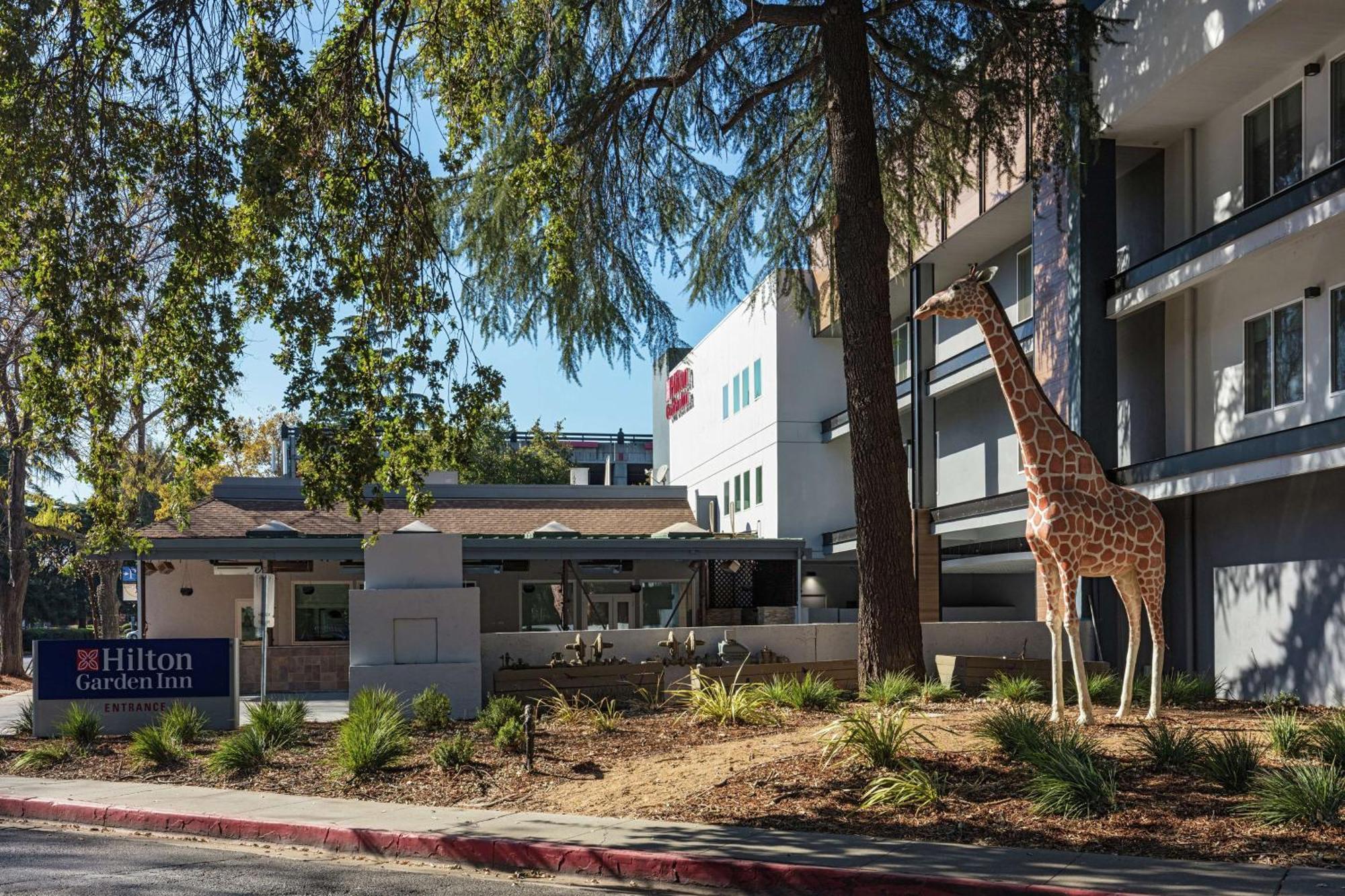 Hilton Garden Inn Davis Downtown Buitenkant foto